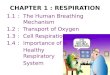 CHAPTER 1 : RESPIRATION 1.1:The Human Breathing Mechanism 1.2:Transport of Oxygen 1.3:Cell Respiration 1.4:Importance of a Healthy Respiratory System