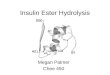 Insulin Ester Hydrolysis Megan Palmer Chee 450. Conversion of Insulin Ester Following enzymatic cleavage, must de-protect Thr B30 ester into Thr B30 carboxylic