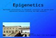 Epigenetics Heritable alterations in chromatin structure can govern gene expression without altering the DNA sequence. Viterbo Università degli Studi della