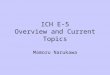 ICH E-5 Overview and Current Topics Mamoru Narukawa
