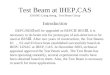 Test Beam at IHEP,CAS ZHANG Liang sheng, Test Beam Group Introduction BEPC/BES Ⅱ will be upgraded as BEPC Ⅱ / BES Ⅲ, it is necessary to do beam test for