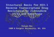 Structural Basis for HIV-1 Reverse Transcriptase Drug Resistance to Zidovudine (AZT) and Tenofovir Kalyan Das CABM & Rutgers University, NJ, USA