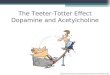 The Teeter-Totter Effect Dopamine and Acetylcholine