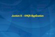 Section E - DNA Replication. E1 DNA Replication: an overview Semi-conservative mechanism, Replicons, Origins and termini, Semi-discontinuous replication,