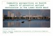 Community perspectives on health impacts of potential wetland restoration in the Lower Ninth Ward of New Orleans T. Scott 2007 Elizabeth Pleuss Public