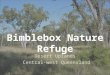 Bimblebox Nature Refuge Desert Uplands Central-west Queensland