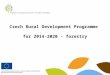 Czech Rural Development Programme for 2014-2020 - forestry