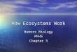 How Ecosystems Work Honors Biology PFHS Chapter 5