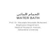 الحمام المائي WATER BATH Prof. Dr. Moustafa Moustafa Mohamed Biophysics Department, Medical Research Institute, Alexandria University