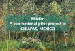 REDD+ A sub-national pilot project in CHIAPAS, MEXICO