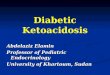 Diabetic Ketoacidosis Abdelaziz Elamin Professor of Pediatric Endocrinology University of Khartoum, Sudan