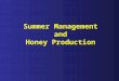 Summer Management and Honey Production. Summer Management Many commercial beekeepers are working hard to get their bees ready for pollination