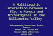A Multitrophic Interaction between a Fly, a Fungus and Orchardgrass in the Willamette Valley Undergraduate Researcher: Denise Baumann Mentor: Dr. Sujaya