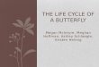 Megan McIntyre, Meghan Hoffman, Ashley Schlaegle, Kristen Helmig THE LIFE CYCLE OF A BUTTERFLY