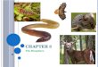 C HAPTER 3 The Biosphere. W HAT IS ECOLOGY? Ecology: the scientific study of interactions among organisms and between organisms and their environment,