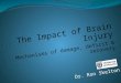 The Impact of Brain Injury Mechanisms of damage, deficit & recovery Dr. Ron Skelton