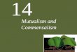 14 Mutualism and Commensalism. 14 Mutualism and Commensalism Case Study: The First Farmers Positive Interactions Characteristics of Mutualism Ecological