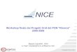 Copyright NICE srl, 2008 Workshop finale dei Progetti Grid del PON "Ricerca" 2000-2006 Beppe Ugolotti, CEO e-mail: beppe@nice-software.com