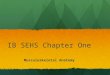 IB SEHS Chapter One Musculoskeletal Anatomy. Chapter One Objectives By the end of this chapter, students should be able to: 1.Describe the anatomy and