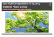 Sycamore Tree Health, Dispersal, and Soil Composition in Quarry Bottom Flood Zones Zachary R. Young, Sarah Minor, Hunter Schouweiler