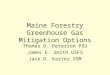 Maine Forestry Greenhouse Gas Mitigation Options Thomas D. Peterson PSU James E. Smith USFS Jack D. Kartez USM