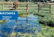 UNCE, Reno, NV Nutrients Phosphorus Nitrogen. The biggest concern with excess nutrients is eutrophication Results in: impacts on lake/stream ecology webs;