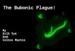 The Bubonic Plague! By Erik Tye And Colton Martin