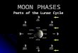 MOON PHASES Parts of the Lunar Cycle. Moon Phases Review During your 7 th grade year, you were taught a lot about the moon phases and seasons of Earth