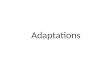 Adaptations. Introduction Watch this video for an introduction to adaptations Watch this video Animals have structural/physical and behavioral adaptations