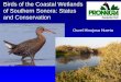 Birds of the Coastal Wetlands of Southern Sonora: Status and Conservation Osvel Hinojosa Huerta