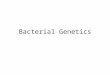 Bacterial Genetics. Review Genome: genetic blueprint Gene: Most organisms-DNA Viruses –DNA or RNA