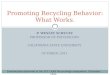 P. WESLEY SCHULTZ PROFESSOR OF PSYCHOLOGY CALIFORNIA STATE UNIVERSITY OCTOBER, 2011 Promoting Recycling Behavior: What Works. Presentation delivered at