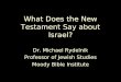 What Does the New Testament Say about Israel? Dr. Michael Rydelnik Professor of Jewish Studies Moody Bible Institute