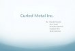 Curled Metal Inc. By: Sheetal Gwoala Jisun Hong Jacquiline Njiraine Gabriela Silva Betel Solomon