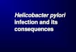 Helicobacter pylori infection and its consequences