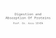 Digestion and Absorption Of Proteins Prof. Dr. Arzu SEVEN