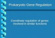 Prokaryotic Gene Regulation Coordinate regulation of genes involved in similar functions
