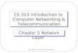 Chi-Cheng Lin, Winona State University CS 313 Introduction to Computer Networking & Telecommunication Chapter 5 Network Layer