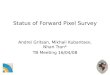 1 Status of Forward Pixel Survey Andrei Gritsan, Mikhail Kubantsev, Nhan Tran* TB Meeting 16/04/08