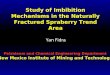 Study of Imbibition Mechanisms in the Naturally Fractured Spraberry Trend Area Yan Fidra Petroleum and Chemical Engineering Department New Mexico Institute