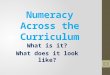 Numeracy Across the Curriculum What is it? What does it look like? 1
