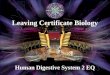 Human Digestive System 2 EQ Leaving Certificate Biology