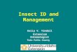 Insect ID and Management Kelly V. Tindall Extension Entomologist Twin Falls County