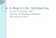 A Bug’s Life: Wolbachia Donna C. Sullivan, PhD Division of Infectious Diseases February 10, 2012