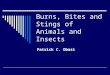 Burns, Bites and Stings of Animals and Insects Patrick C. Obasi