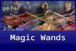 Magic Wands Woods Unit 1 - lecture part 1