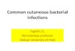 Common cutaneous bacterial infections Faghihi. G. Dermatology professor Isfahan University of Med