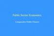 Public Sector Economics Comparative Public Finance