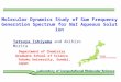 Tatsuya Ishiyama and Akihiro Morita Molecular Dynamics Study of Sum Frequency Generation Spectrum for NaI Aqueous Solution Tohoku University, Sendai, Japan