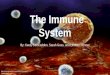 The Immune System By: Keely Corscadden, Sarah Goss, and Lindsey Renner  system.html